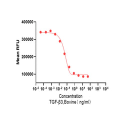 Recombinant Bovine TGF-β3