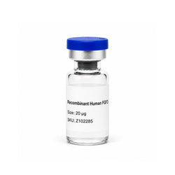 Recombinant Human FGF3