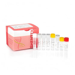 Replication-Competent Retrovirus (RCR) Quantitation Kit SHENTEK®