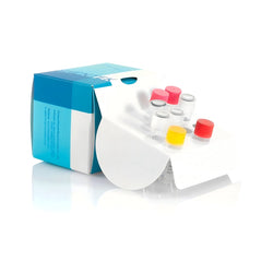 Residual 293T RNA Quantitation Kit SHENTEK®
