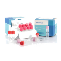 Residual CHO DNA Size Analysis Kit (2G) SHENTEK®