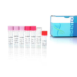 Residual CV-1 DNA Quantitation Kit SHENTEK®