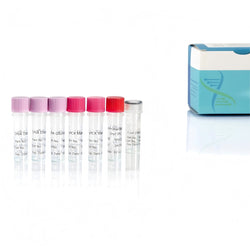 Residual E. coli DNA Quantitation Kit (2G) SHENTEK™