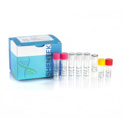 Residual E.coli RNA Quantitation Kit (2G) SHENTEK™