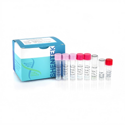 Residual E1B DNA Quantitation Kit SHENTEK®