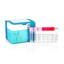 Residual Human DNA Quantitation Kit SHENTEK®