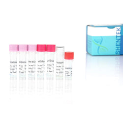 Residual NS0 & SP2/0 DNA Quantitation Kit SHENTEK®