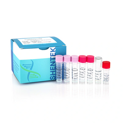 Residual Vero DNA Quantitation Kit SHENTEK™