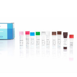 Reverse Transcriptase Assay kit