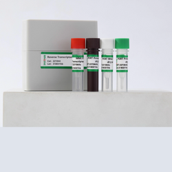 Reverse Transcriptase Assay (PERT) - Biofargo