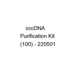 cccDNA Purification Kit (100) - 220501 - Biofargo - 