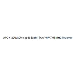 APC-H-2Db/LCMV gp33 (C9M) (KAVYNFATM) MHC Tetramer - Biofargo - 