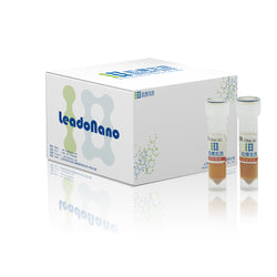 Streptavidin Beads (500 nm)