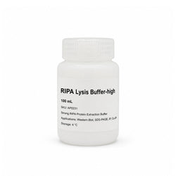 Strong RIPA Lysis Buffer AP0231 100 mL protein extraction buffer for cell and tissue lysis