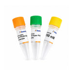 Super Phi29 DNA Polymerase