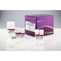 TIANamp Bacteria DNA Kit-Tiangen