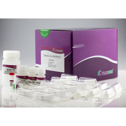 TIANamp Virus DNA/RNA Kit-Tiangen