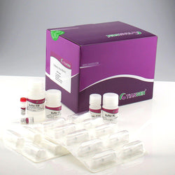 TIANamp Virus RNA Kit-Tiangen
