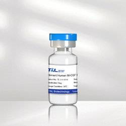 Recombinant Human M-CSF Protein