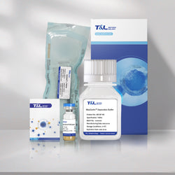 MaxSortin® CD8 Isolation Kit