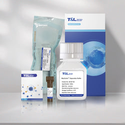 MaxSortin® CD138 Isolation Kit
