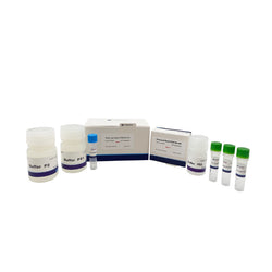 Plant Leaf Direct PCR Plus Kit (Polysaccharide polyphenol plant)