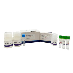 Plant Leaf Direct PCR Plus Kit-UNG (Polysaccharide polyphenol plant)