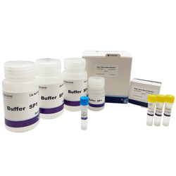 Plant Seed Direct PCR Kit I
