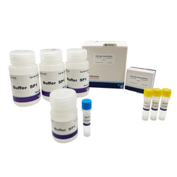Plant Seed Direct PCR Kit I