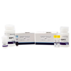 Plant Seed Direct PCR Plus Kit II-UNG
