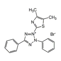 Thiazolyl blue tetrazolium bromide (MTT)