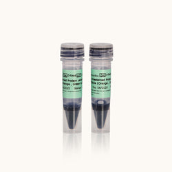 Tricolor Prestained Protein Ladder 10 kDa~250 kDa-Orange-Green & Blue-Yamaybio