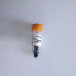 TureColor Pre-stained Protein Marker 2 colors Standard Range 15~130 kDa
