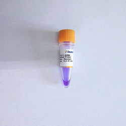 Unstained Protein Marker Standard Range 14.4~97 kDa