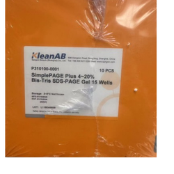 Simple PAGE Plus 4~20% Bis-Tris SDS-PAGE Gel 15 Wells
