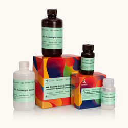 ECL Western Blotting Ultimate Sensitivity Substrate-Femto-Yamaybio