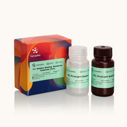 ECL Western Blotting Sensitivity Substrate-Pico-Yamaybio