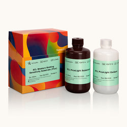 ECL Western Blotting Sensitivity Substrate-Pico-Yamaybio
