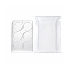 6 Well PS Cell Culture Plate TC Treated Flat Bottom with Lid Sterile Individual Packed 