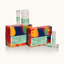 Terminal Deoxynucleotidyl Transferase-TdT, 20 U/µl-Yamaybio