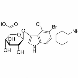X-gluc (CHX salt) - Biofargo - 