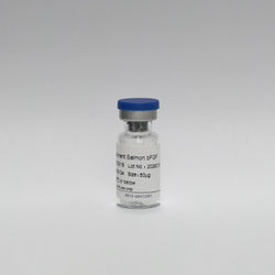 Recombinant Salmon bFGF