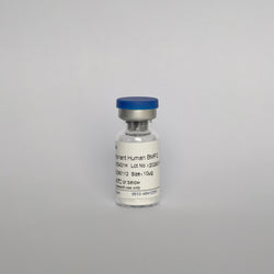 Recombinant Human BMP-2