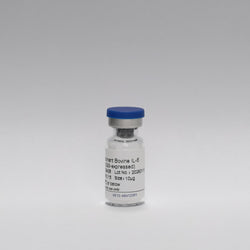 Recombinant Bovine IL-6