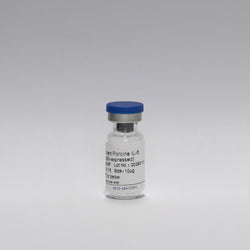 Recombinant Porcine IL-6