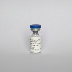 Recombinant Human IL-18