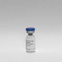 Recombinant Human PDGF-BB