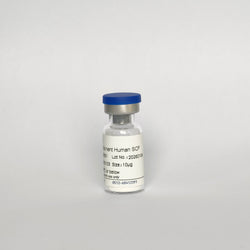 Recombinant Human SCF