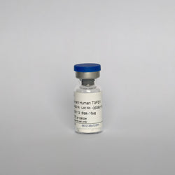 Recombinant Human TGF-β1