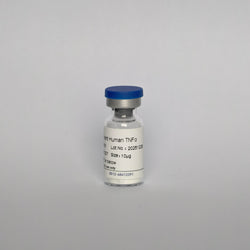 Recombinant Human TNF-α